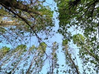 La rubricola di PiccolaFlò