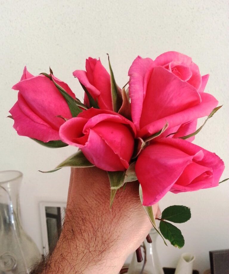 Romance8 nr 36
