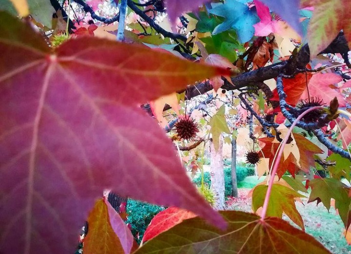 Autunno