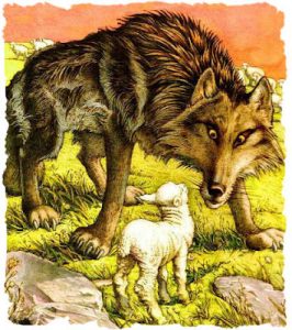 il lupo e la pecora