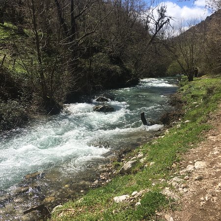 Calati juncu