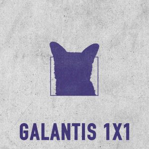 1x1 Galantis