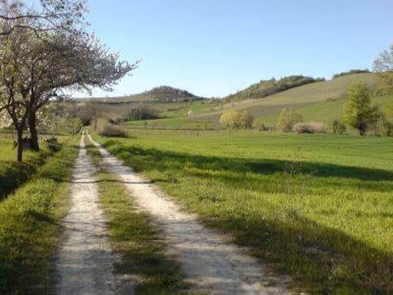 Paisi Meu