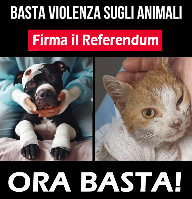 Referendum pene reati contro gli animali