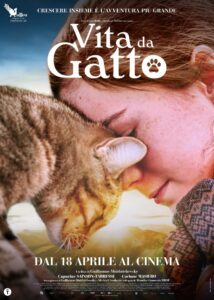 Vita da gatto