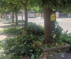 Siderno: "Appalti, confusione e arroganza"