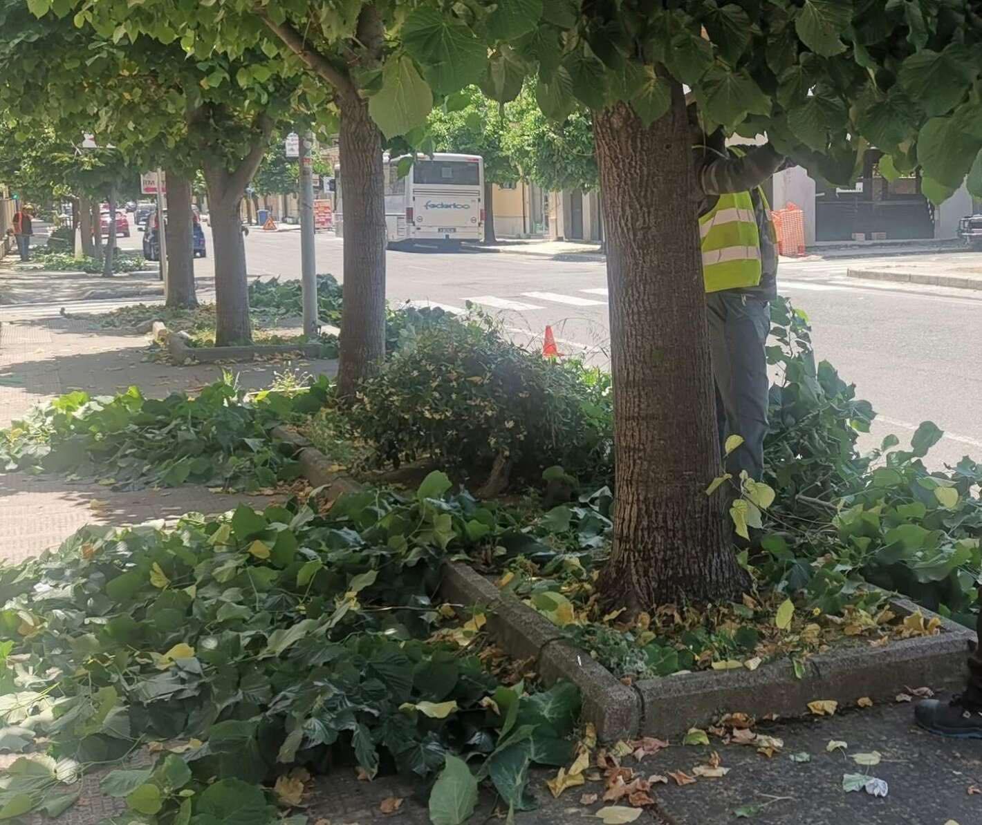 Siderno: "Appalti, confusione e arroganza"