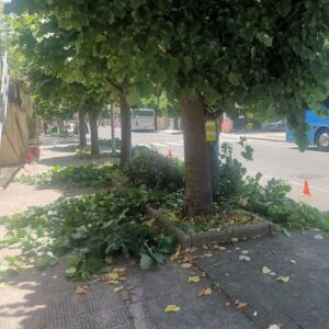 Siderno: Interventi per igiene e decoro nelle strade